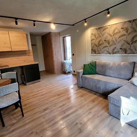 Apartment Lesne Biala Biala (Piotrkow)