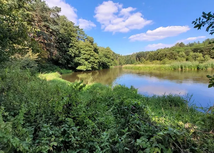 Apartment Lesne Biala