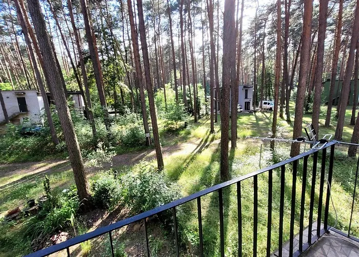 Lesne Biala * Biala (Piotrkow)